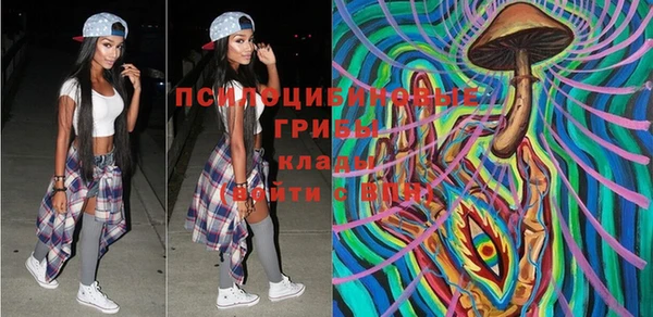 бошки Осинники