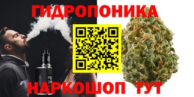 тгк Обь