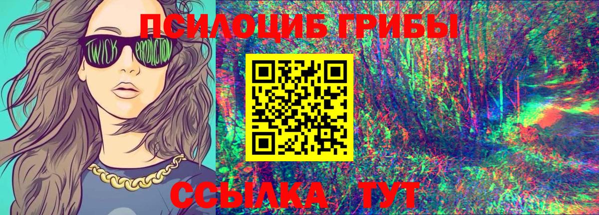 Галлюциногенные грибы Psilocybine cubensis Тольятти